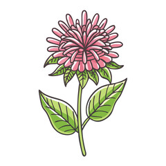 A Delicate Pink Flower with Green Leaves Botanical Illustration