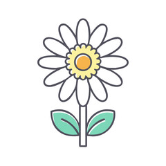 A Simple Drawing of a Daisy Flower with Two Leaves