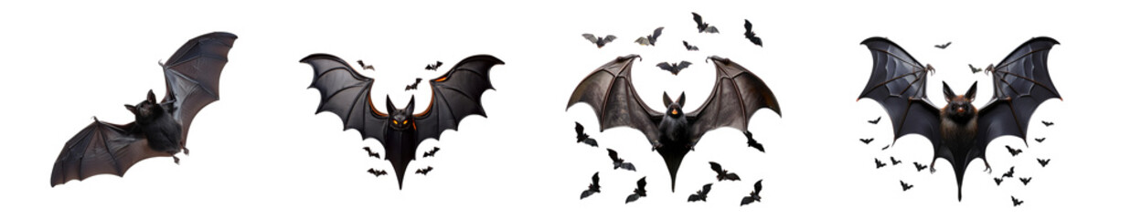 Group of various bat species displaying their unique wing structures and poses.