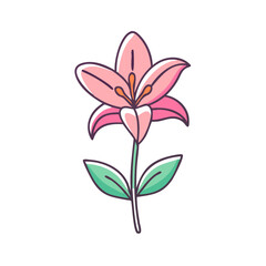 A Lovely Pink Lily Flower with Green Leaves Botanical Illustration