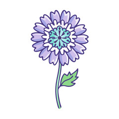 A Delicate Purple and Teal Flower with a Single Leaf Stem