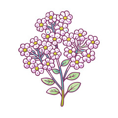 A Delicate Bouquet of Lovely White Flowers with Purple Stem and Green Leaves Botanical Illustration