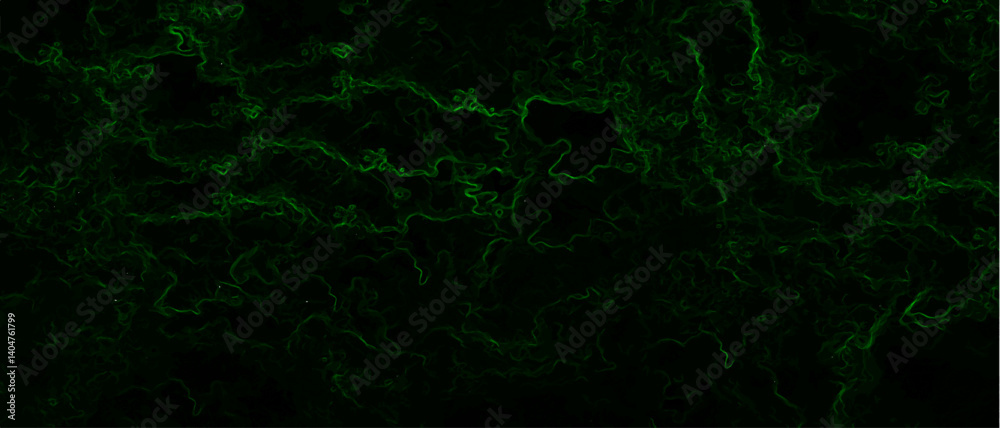 Leinwandbilder abstract background with swirling green energy patterns. nebula-inspired void, with glowing filament