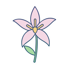 A Delicate Pink Flower with a Single Stem and Leaf a Simple Floral Illustration
