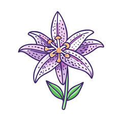 Beautiful Purple Lily Flower Blossom Illustration Graphic Design