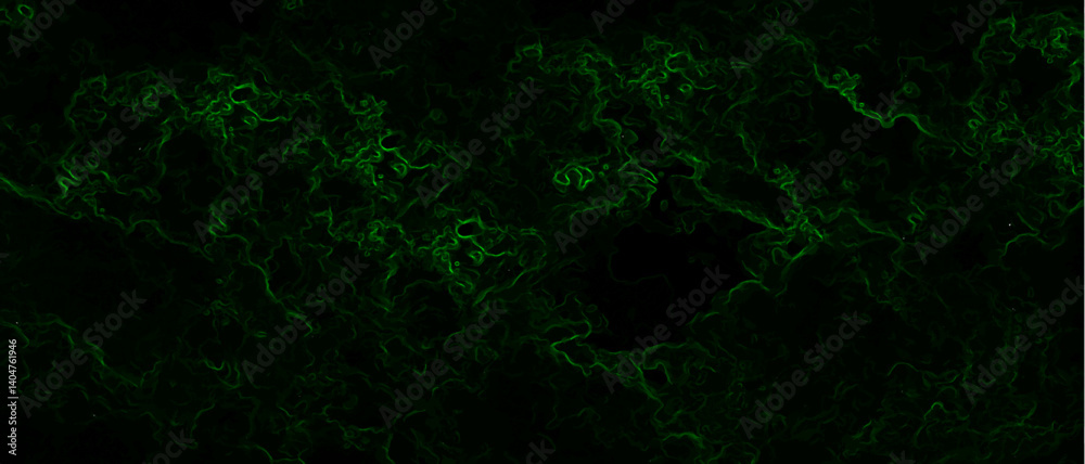 Leinwandbilder abstract background with swirling green energy patterns. nebula-inspired void, with glowing filament