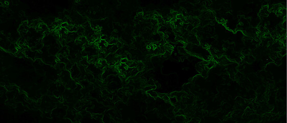 Abstract background with swirling green energy patterns. Nebula-inspired void, with glowing filaments and a deep, mysterious ambiance. Texture with subtle green wisps and thin swirling lines.