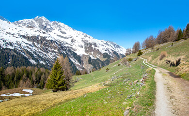 Obraz premium footpath crossing a mountainous landscape with snow-capped peaks bacground in alpine valley under blue sky in Tarentaise valley savoie france