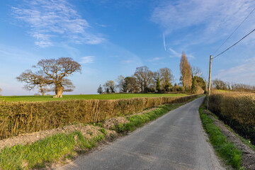 A road in rural Sussex, with farmland either side and a blue sky overhead