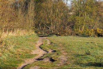 A pathway leading to woodland, on a sunny spring morning
