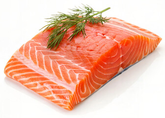 Fresh Raw Salmon
