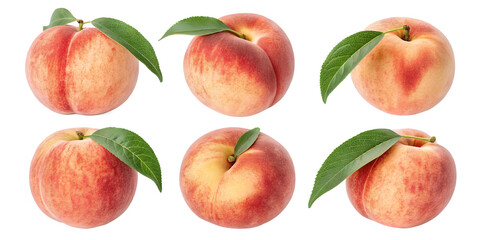 Peaches: A delightful assortment of ripe peaches, showcasing their delicate blush, velvety skin, and luscious flesh. Each peach boasts a vibrant green leaf.