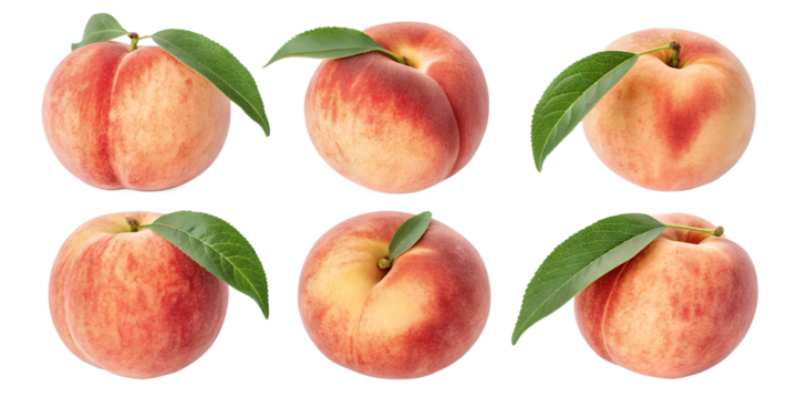 Peaches: A delightful assortment of ripe peaches, showcasing their delicate blush, velvety skin, and luscious flesh. Each peach boasts a vibrant green leaf.
