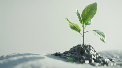 A Tender Sprout Emerging from Arid Ground: Small Green Leaves Reach Towards Soft Light and Gentle Shadows, Representing Resilience, New Beginnings, and the Quiet Strength of Life in a Barren Landscape