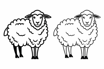 vector illustration of sheep