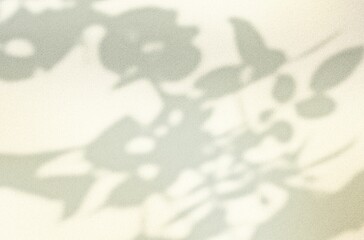 White gray sun shadow of leaves tree plant and window frames on white brown wall. Sunlight shining through window overlay effect shadows