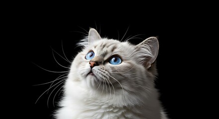 Whispers of Midnight AI Generated