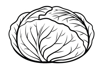 Black And White Cabbage Outline Fresh Vegetable Illustration Minimalist Style Simple Design Healthy Eating Culinary Element