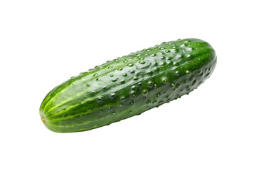 A single fresh green cucumber isolated on a white background showing bumpy skin texture and vibrant color