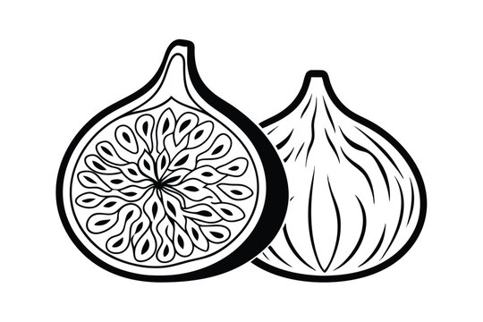 black and white fig fruit halves clip art preview