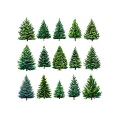 Collection of Eighteen Christmas Trees Isolated onTransparent background