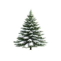 Snow-Covered Evergreen Tree Isolated onTransparent background