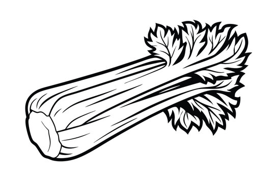black and white celery stalk clip art preview
