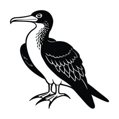 frigate bird line art vector illustration.