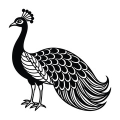 peacock with feathers