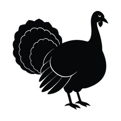 Fototapeta premium turkey vector illustration