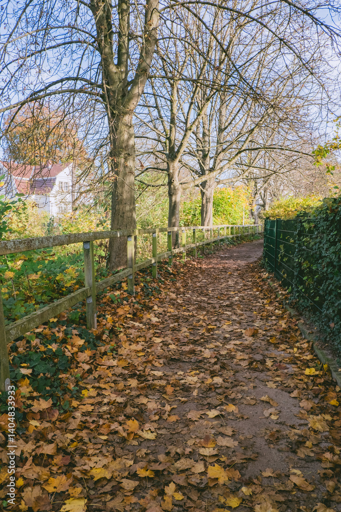Wall mural path is lined with trees and leaves