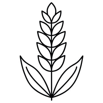 recommend clip art: Wheat stalk, grain, agriculture, harvest, cereal, plant, food, outline, vector, illustration