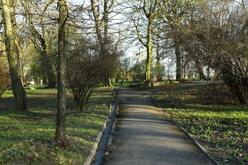 A beautiful park with trees and road for walking
