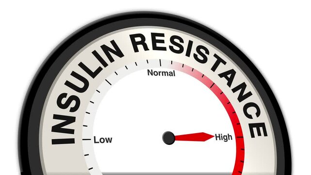 Insulin Resistance text or word shown with a barometer or tachometer-style gauge, representing varying levels of severity in the body&rsquo;s diminished response to insulin and its impact on metabolism