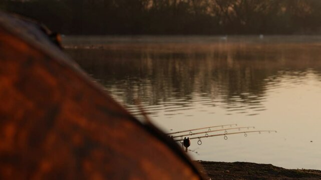 Carp fishing rods and bivvy at sunrise lake scene