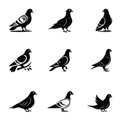 Pigeon vector silhouette illustration graphics design with white background. 