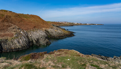 Walking the Anglesey coast path in spring