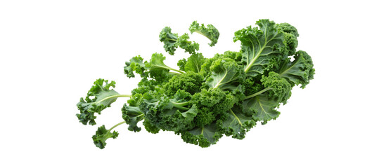 Fototapeta premium Fresh Green Kale Leaves Floating in Air Isolated on White Background Healthy Food Concept