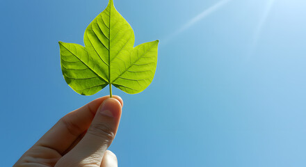 Vibrant Green Leaf Held Against a Sunny Blue Sky