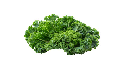 Obraz premium Fresh Green Kale Leafy Vegetable Produce Isolated on White Background Healthy Eating Superfood
