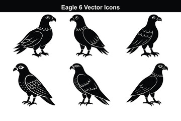 Cute cartoon vector illustration set of different birds like owl, sparrow, chicken, duck with wing and feather design elements for nature art.