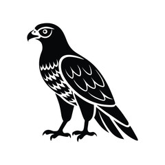 Majestic eagle vector illustration, a wild bird silhouette isolated on white.