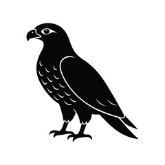 Majestic eagle vector illustration, a wild bird silhouette isolated on white.