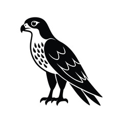 Majestic eagle vector illustration, a wild bird silhouette isolated on white.