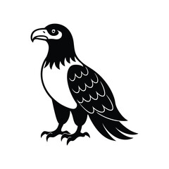 Majestic eagle vector illustration, a wild bird silhouette isolated on white.