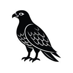 Majestic eagle vector illustration, a wild bird silhouette isolated on white.