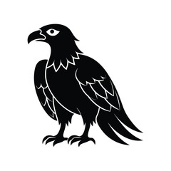 Majestic eagle vector illustration, a wild bird silhouette isolated on white.