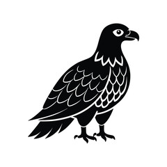 Majestic eagle vector illustration, a wild bird silhouette isolated on white.