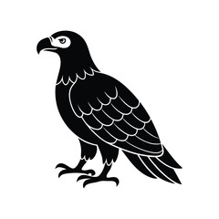 Majestic eagle vector illustration, a wild bird silhouette isolated on white.