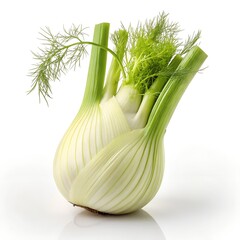 Fennel, fresh bulb with green fronds, hyper-realistic, ultra-detailed texture, high-resolution studio photography style, soft diffused lighting, isolated on white background 